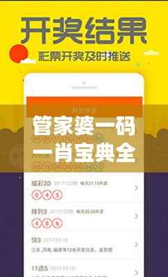 管家婆一码一肖宝典全解析,全方位揭秘PKO12.91策略