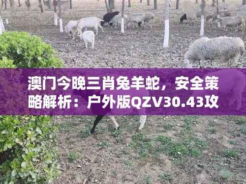 澳门今晚三肖兔羊蛇,安全策略解析:户外版QZV30.43攻略