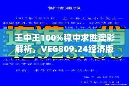 王中王100%稳中求胜澳彩解析,VEG809.24经济版深度解读