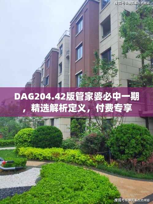 DAG204.42版管家婆必中一期,精选解析定义,付费专享