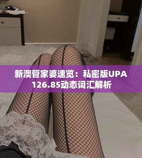 新澳管家婆速览:私密版UPA126.85动态词汇解析