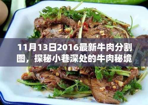 探秘牛肉秘境,2016年最新牛肉分割图带你领略独特风味风采