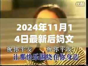 探秘小巷深处的独特风味,暖心后妈文之隐藏美食店揭秘(2024年11月14日最新)