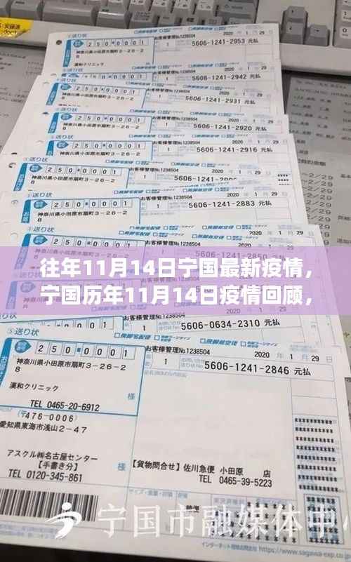 宁国历年11月14日疫情回顾,见证坚守与希望的历程