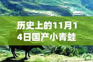 历史上的11月14日国产小青蛙新创意作品深度评测及探讨涉黄问题警告（非色情内容）