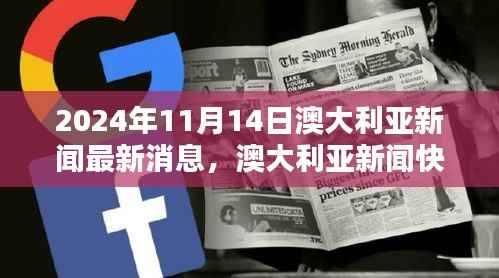 澳大利亚新闻快报,聚焦2024年11月14日最新动态解析