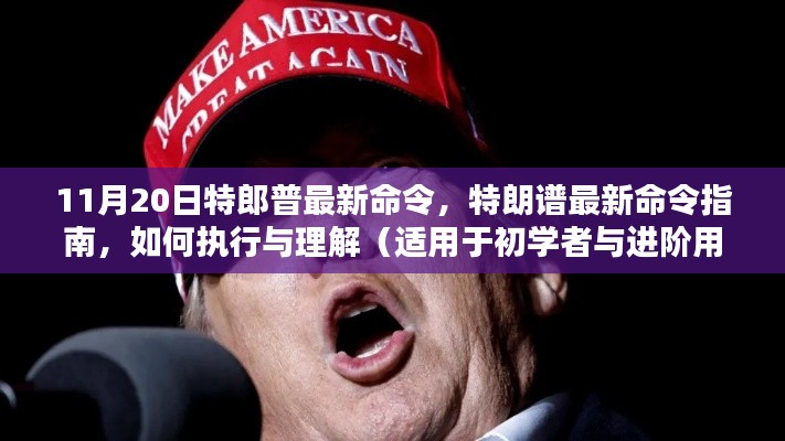 特朗普最新命令详解,执行与理解指南(初学者与进阶用户必备)