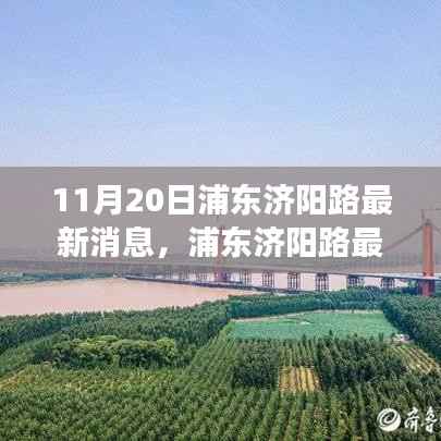 浦东济阳路最新动态揭秘,11月20日进展及未来规划蓝图展望