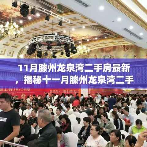揭秘十一月滕州龙泉湾二手房市场,小巷特色小店与最新房源概述