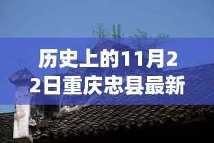 忠县小巷美食盛宴,历史与味蕾的双重体验——11月22日最新事件揭秘
