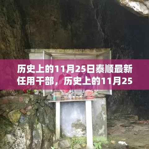 泰顺新任干部解读与反思,历史视角下的任用历程回顾与展望