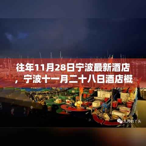 宁波十一月二十八日酒店概览,最新住宿体验报告