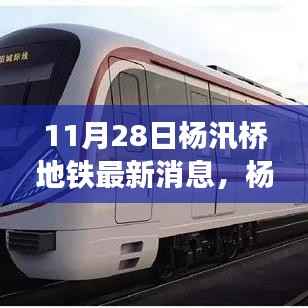 11月28日杨汛桥地铁最新进展与深远影响概述