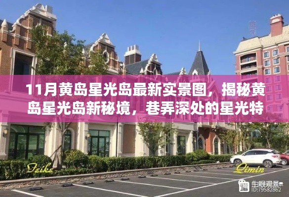 花开无言 第15页