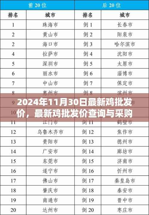 2024年最新鸡批发价指南,采购、查询一步到位,适用于初学者与进阶用户
