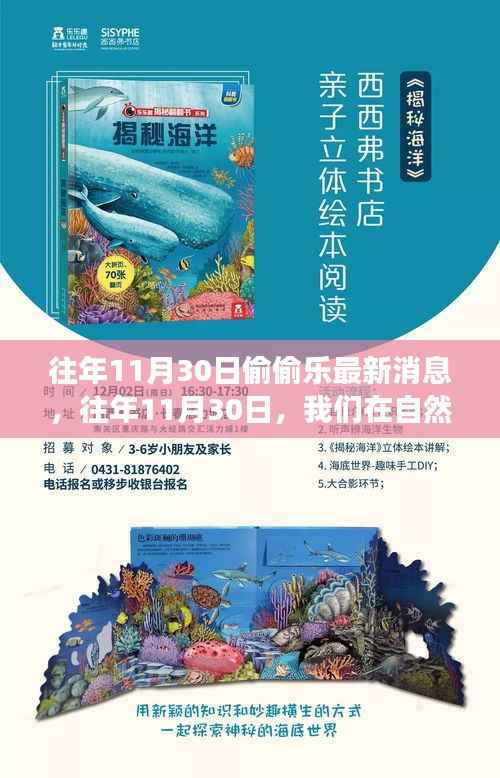 往年11月30日的新发现之旅,自然美景中的偷偷乐