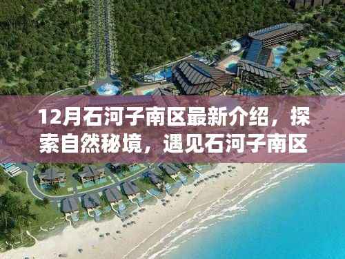 探索石河子南区自然秘境,宁静之美的十二月心灵之旅