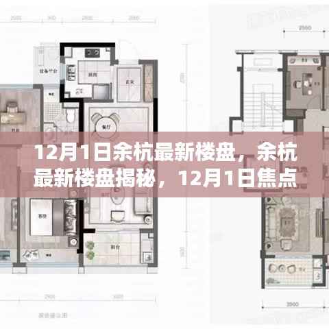 12月1日余杭最新楼盘焦点解析，揭秘最新楼盘动态