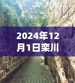 揭秘栾川宝藏小店与在线招聘新篇章