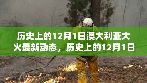 持续关注澳大利亚大火最新动态,历史上的12月1日火势进展报告