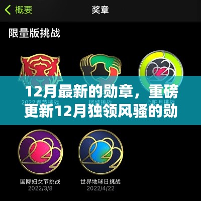 探秘最新勋章魅力,12月独领风骚的勋章,你Get了吗?小红书带你一探究竟!