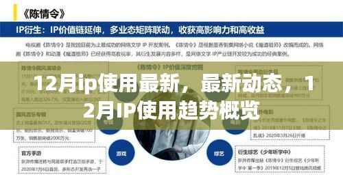 12月IP使用最新动态及趋势概览