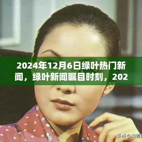 2024年12月6日绿叶热门新闻,绿叶新闻瞩目时刻,2024年12月6日的时代印记