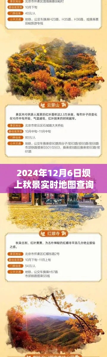 探秘坝上秋色,实时地图查询指南,带你领略秋景之美(日期,XXXX年XX月XX日)