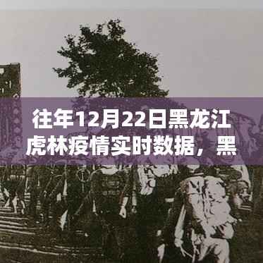 黑龙江虎林疫情回顾,往年12月22日实时数据与影响分析
