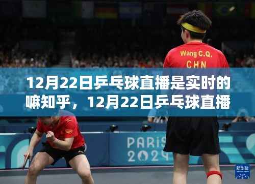 12月22日乒乓球直播,实时对决,热血时刻的热血瞬间回顾