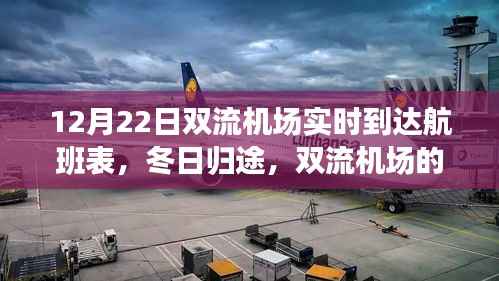 双流机场冬日归途,航班故事与家的温暖相拥的实时到达航班表