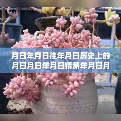 追寻月影之下的宁静之旅，保定62路车实时查看与心灵自然美景的邂逅