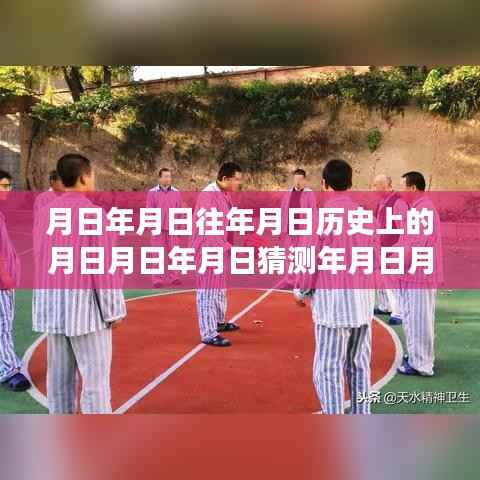 温馨的日期探秘之旅,历史、监控与时光里的日月计算