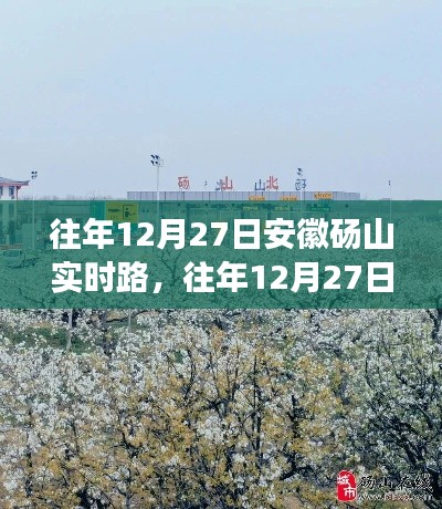 安徽砀山实时路发展回顾，利弊分析与个人立场观点分享