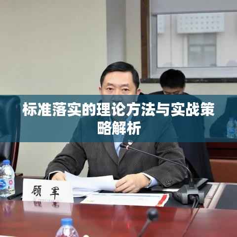 标准落实的理论方法与实战策略解析
