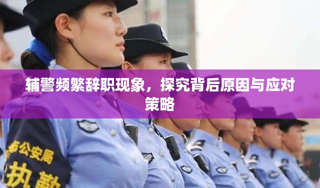 辅警频繁辞职现象,探究背后原因与应对策略