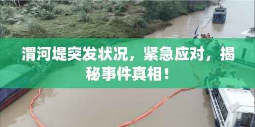 渭河堤突发状况,紧急应对,揭秘事件真相!