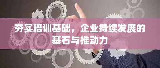 夯实培训基础，企业持续发展的基石与推动力