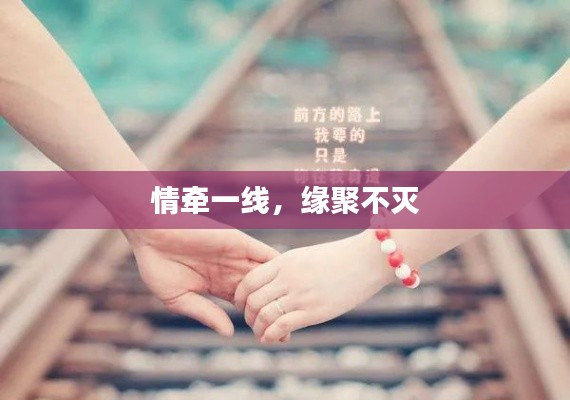 情牵一线,缘聚不灭