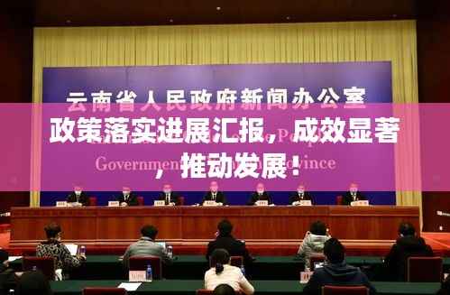 政策落实进展汇报,成效显著,推动发展!