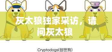 灰太狼独家采访，请问灰太狼 