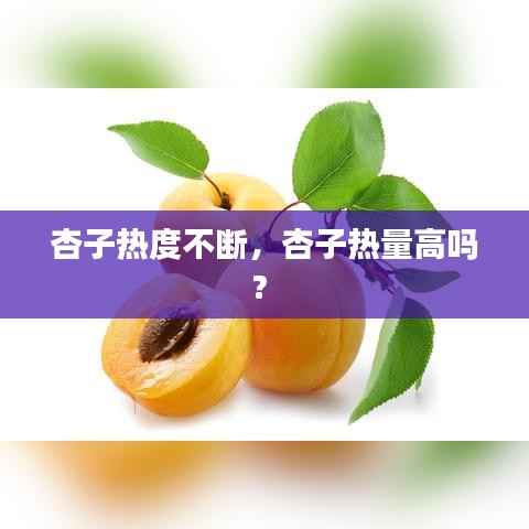 杏子热度不断，杏子热量高吗? 
