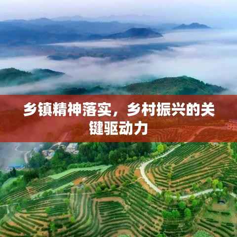 乡镇精神落实,乡村振兴的关键驱动力