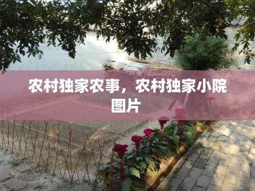 农村独家农事，农村独家小院图片 