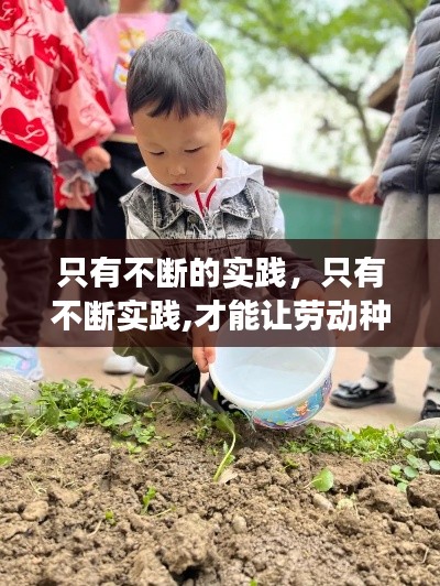 只有不断的实践,只有不断实践,才能让劳动种子发芽成长议论文