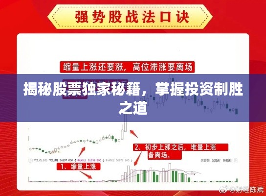 揭秘股票独家秘籍,掌握投资制胜之道
