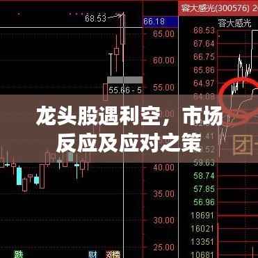 龙头股遇利空,市场反应及应对之策