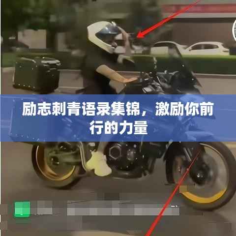 励志刺青语录集锦，激励你前行的力量