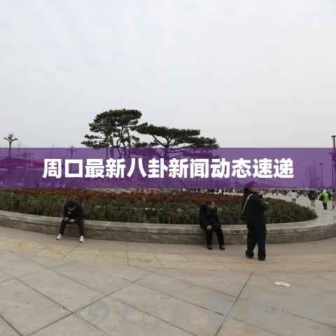 周口最新八卦新闻动态速递