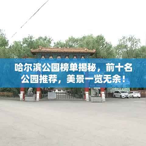 花开无言 第6页